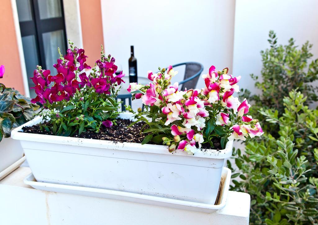 B&B Shining Avola Dış mekan fotoğraf